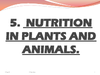 F1 BIO NOTES ON NUTRITION.pdf